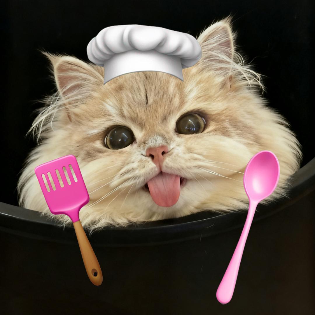 爱吃冻干的不离