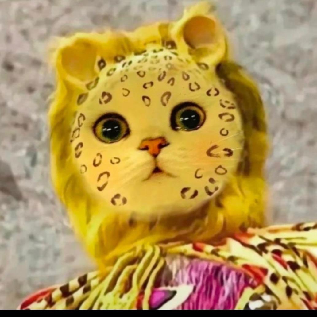 布响赏班