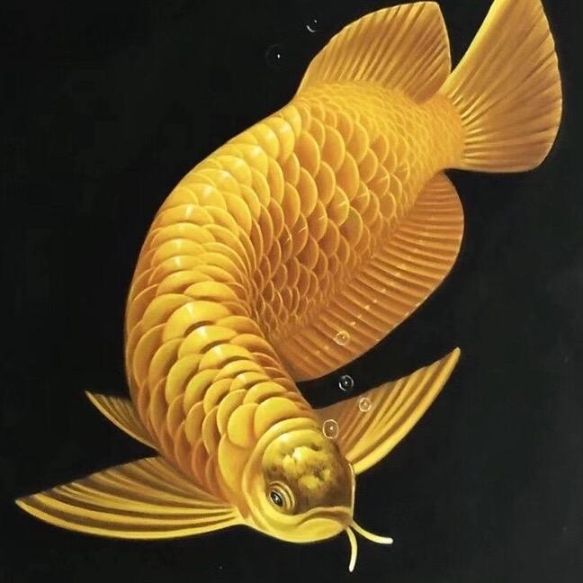 天成钓鱼🐟场塘主