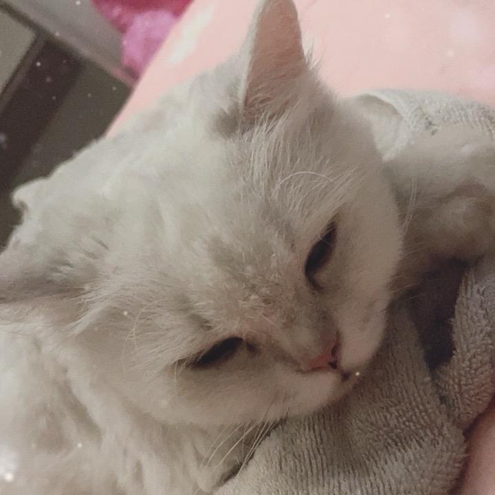 随缘随风