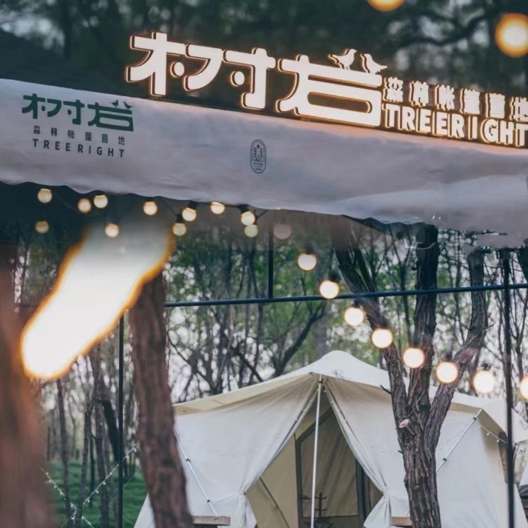 树右帐篷营地🏕️