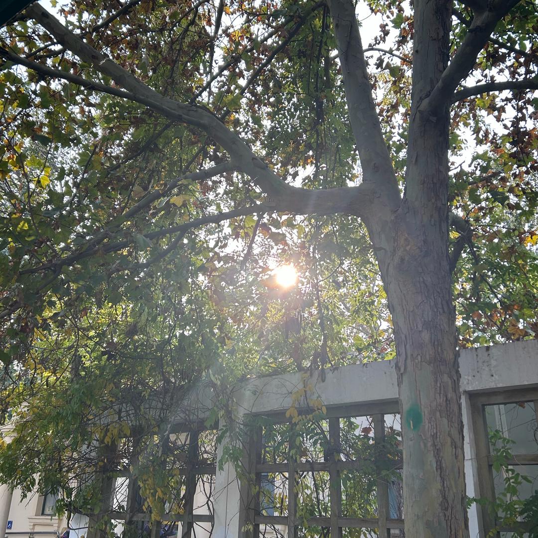 🐮严选好物安利