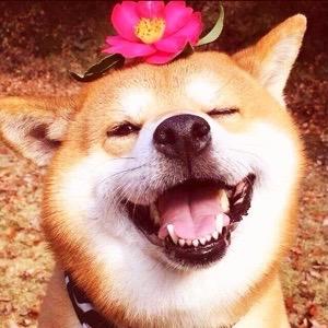 蓝色狂战龙