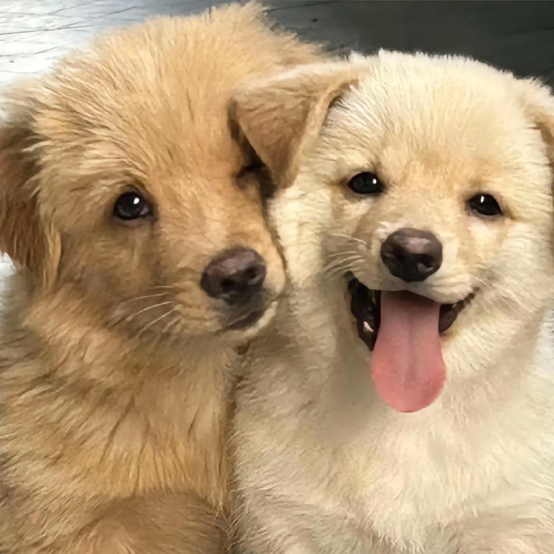 小李不讲李☁️