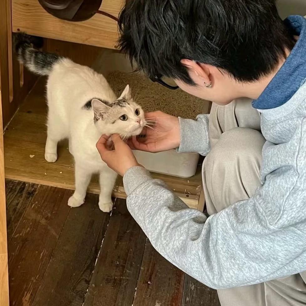 8559