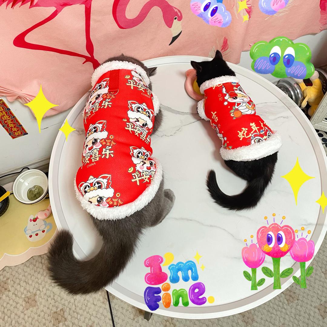 小黑蛋蛋喵