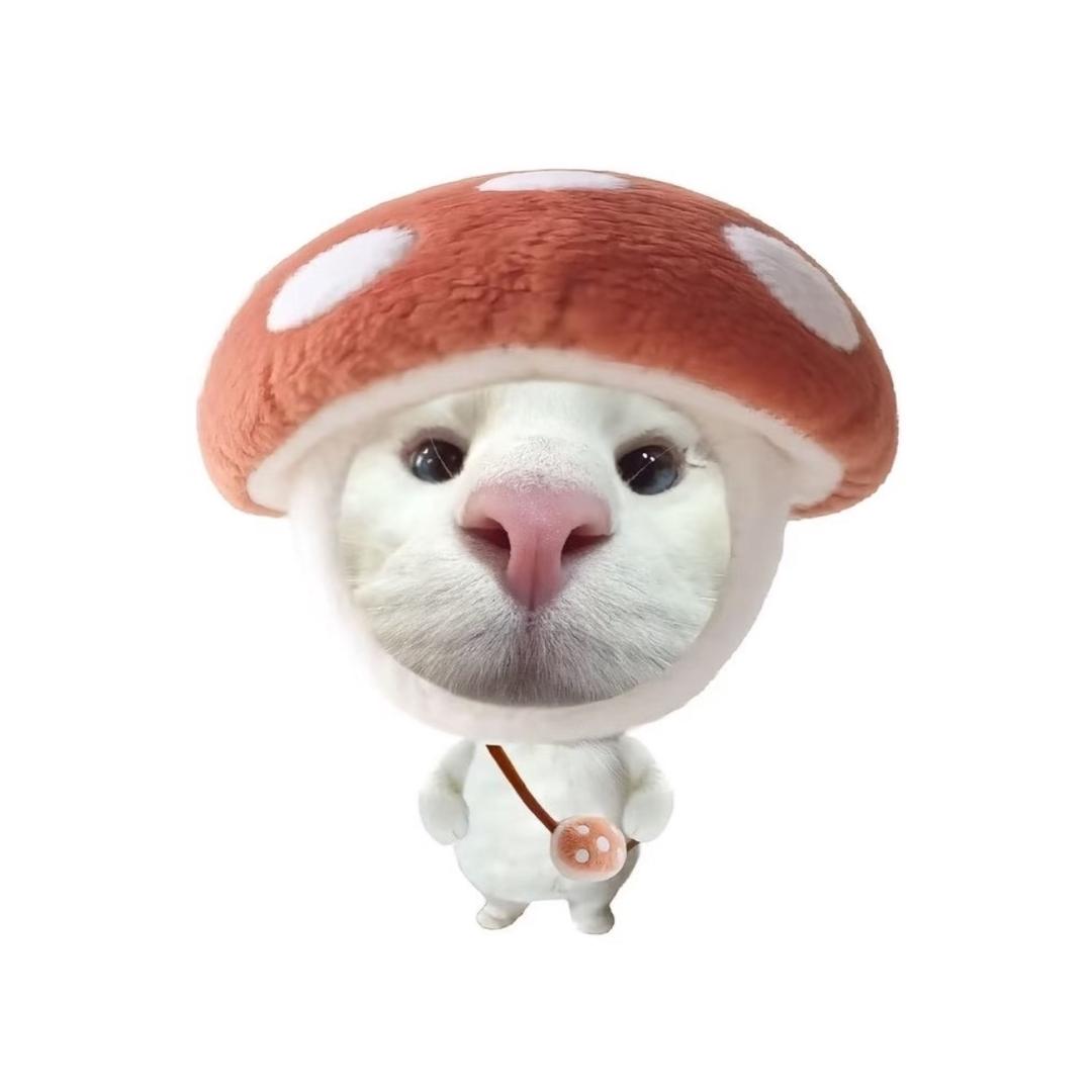 不叫赵子贱