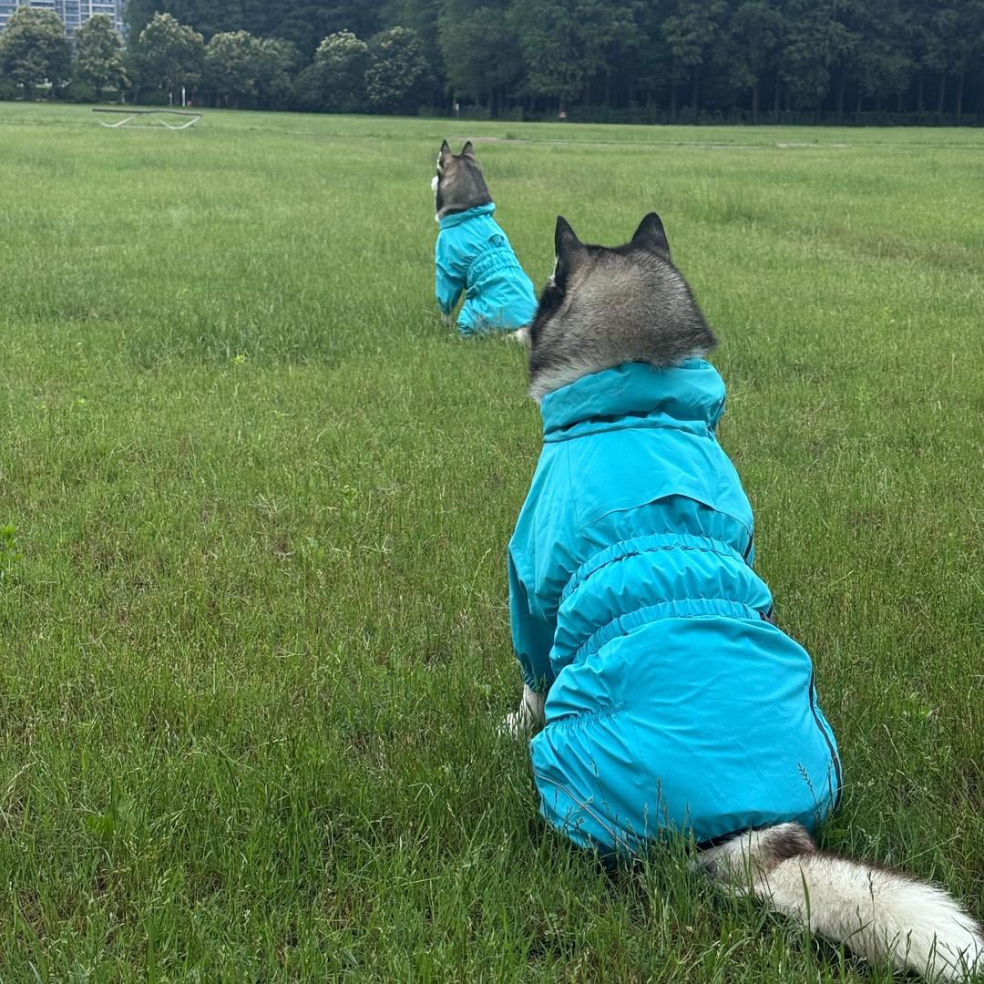 粉妹妹