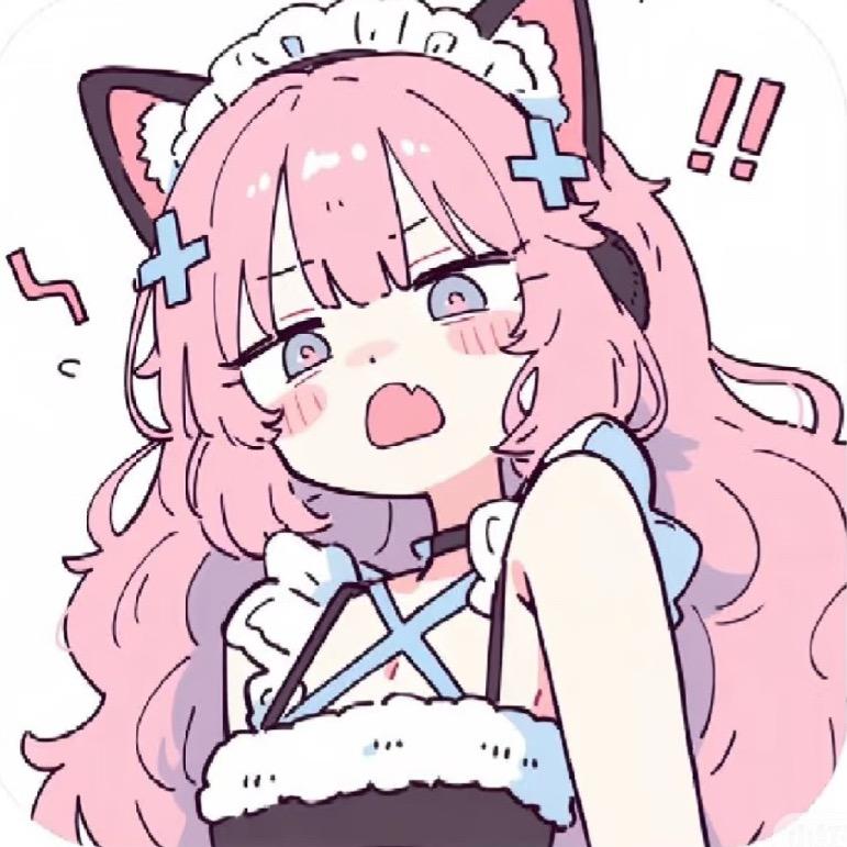 下一场猫猫雨