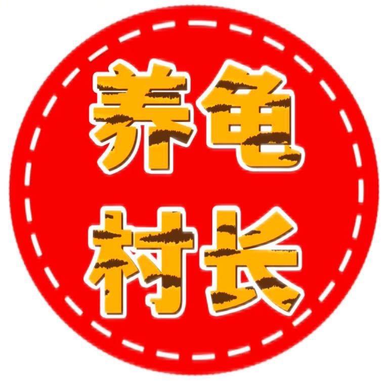 养龟村长养殖场