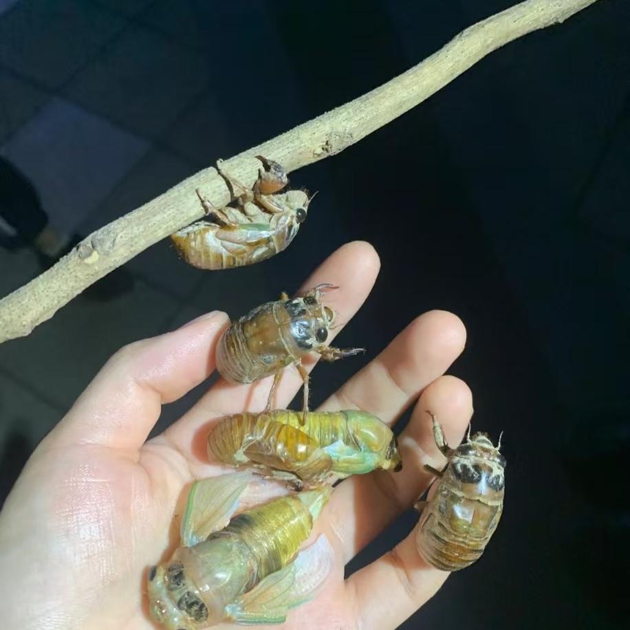 永盛嘉禾农品优选