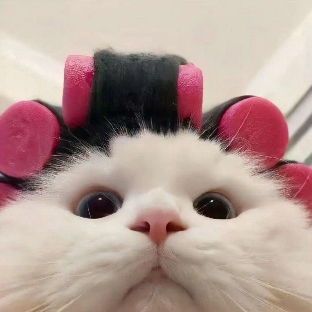張張包