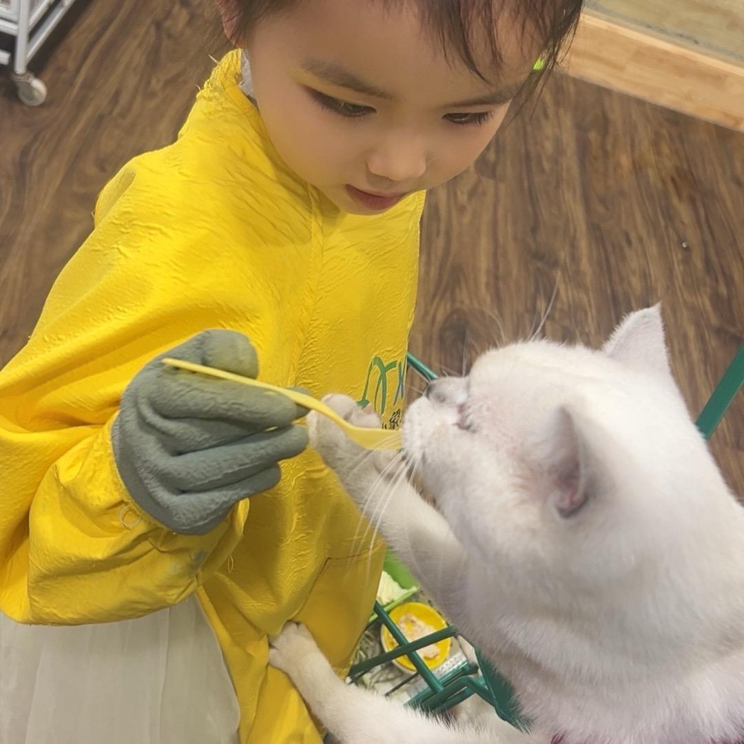 肖一笑