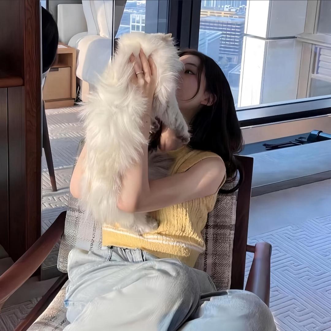 大脸猫Yin-