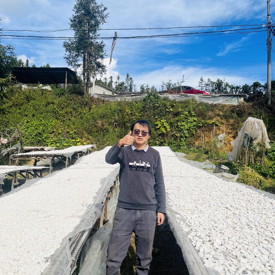 鲜切茯苓一号店