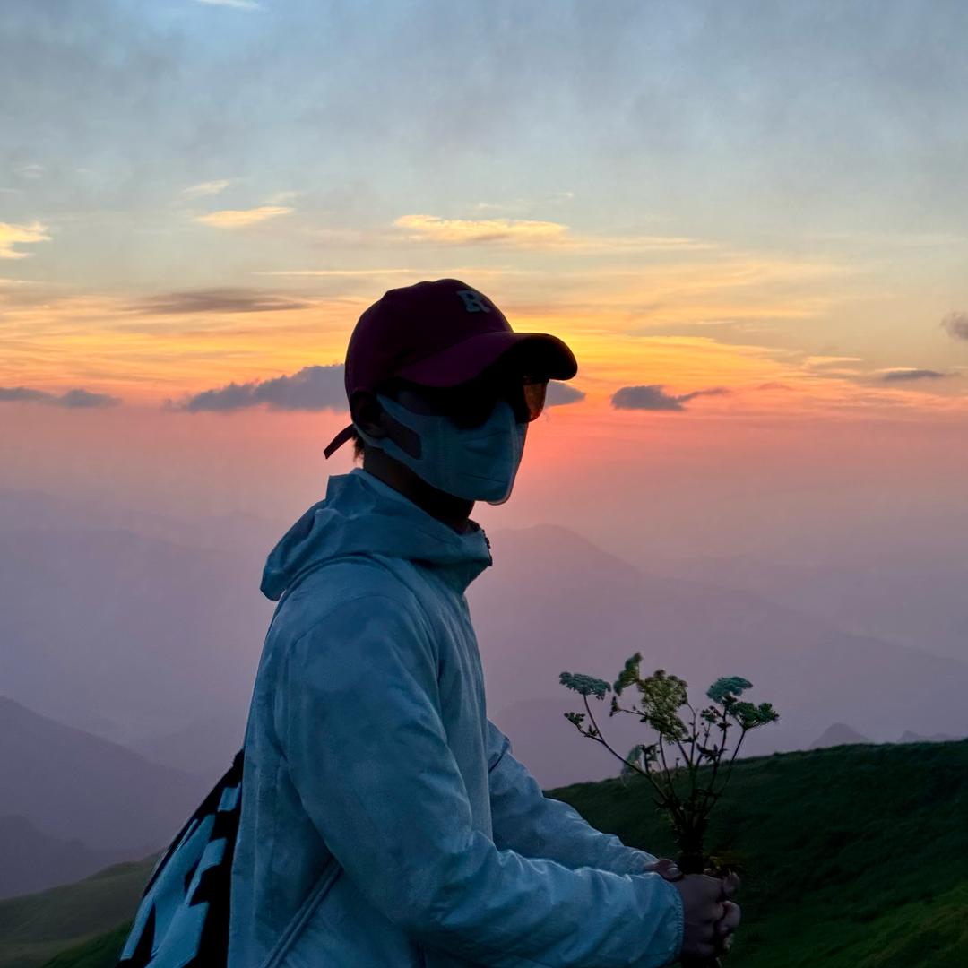 小鱼不秃头🐟（增肌版）