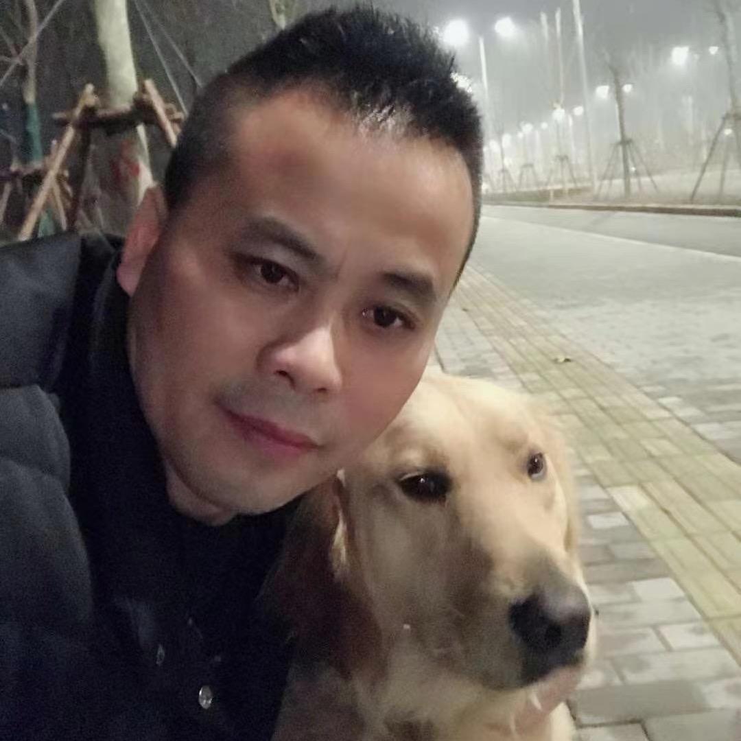 嘉兴树状月季🌹园