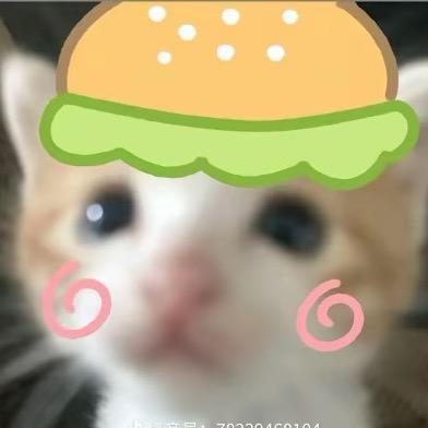 怪癖.