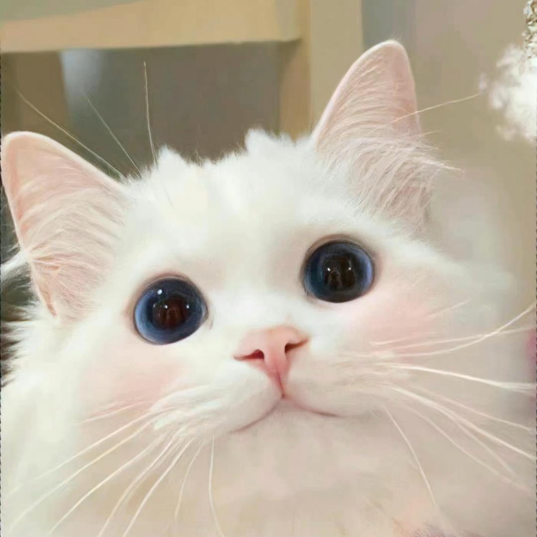 休