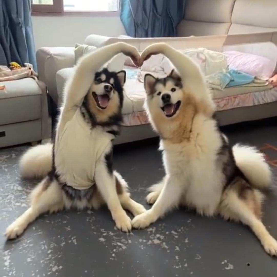 多喜乐