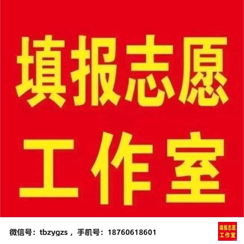 填报志愿工作室