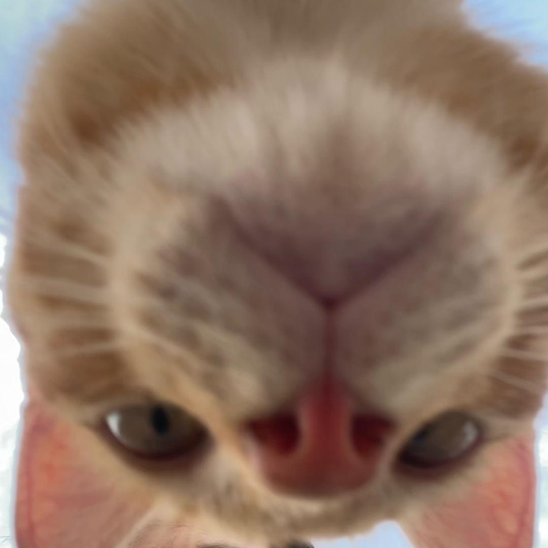 En