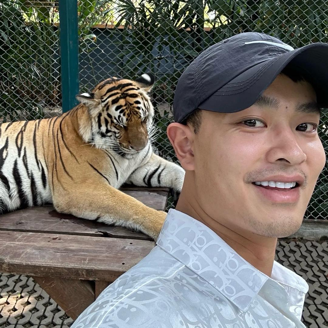 狂炫忧郁八爪鱼