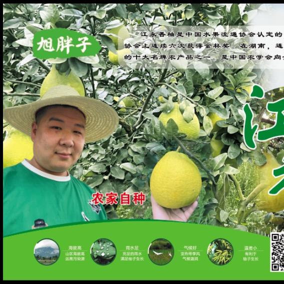 从头在来