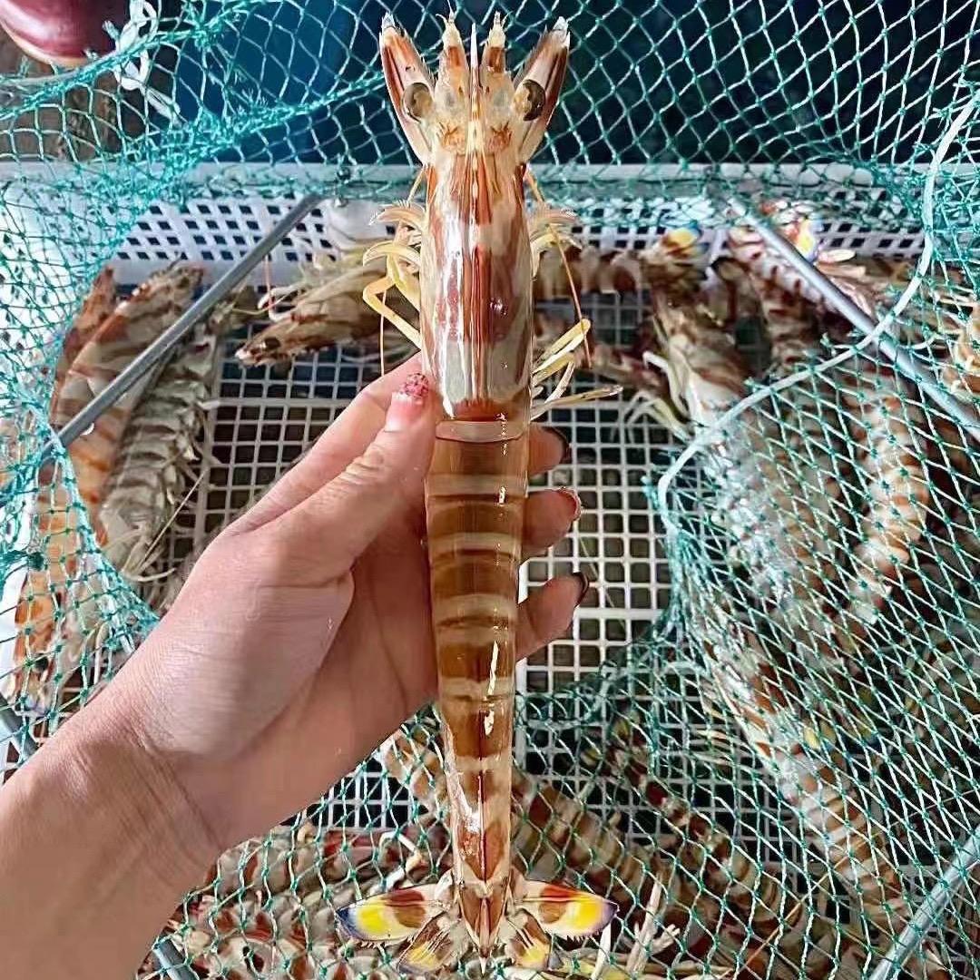 闽南聚生鲜海鲜行甄选号