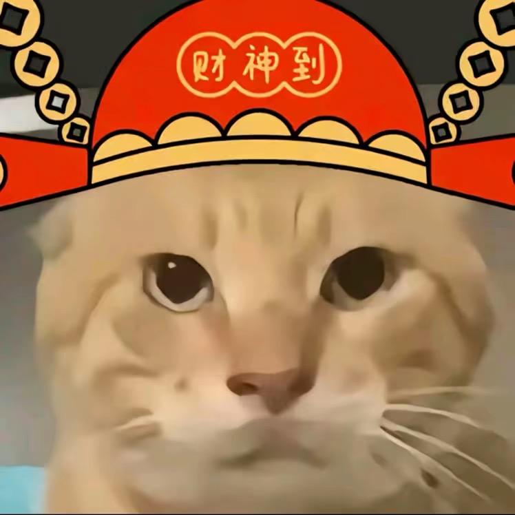 猫meme放映室