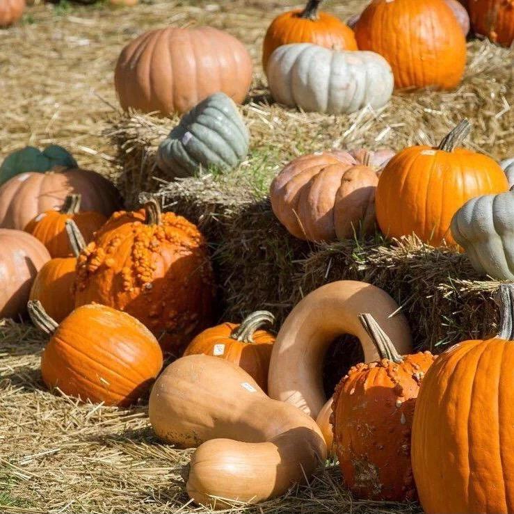 歌思酒类专营店