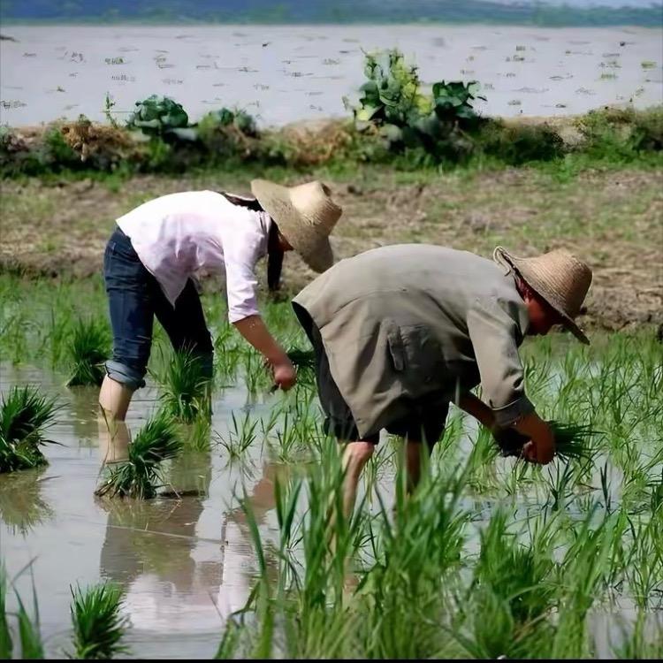 甄选助农