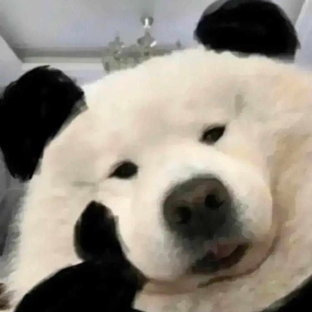 所以你睡了没