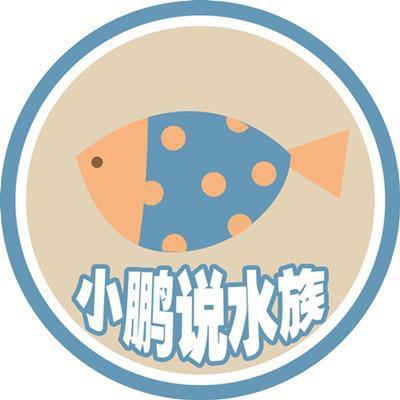 小鹏说水族企业店