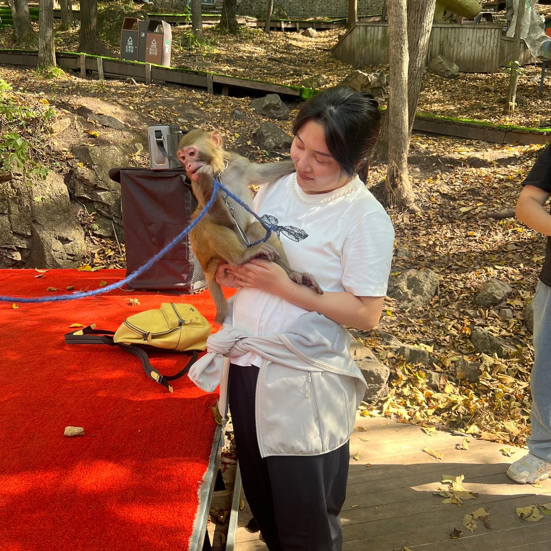 卖榛子的小女孩