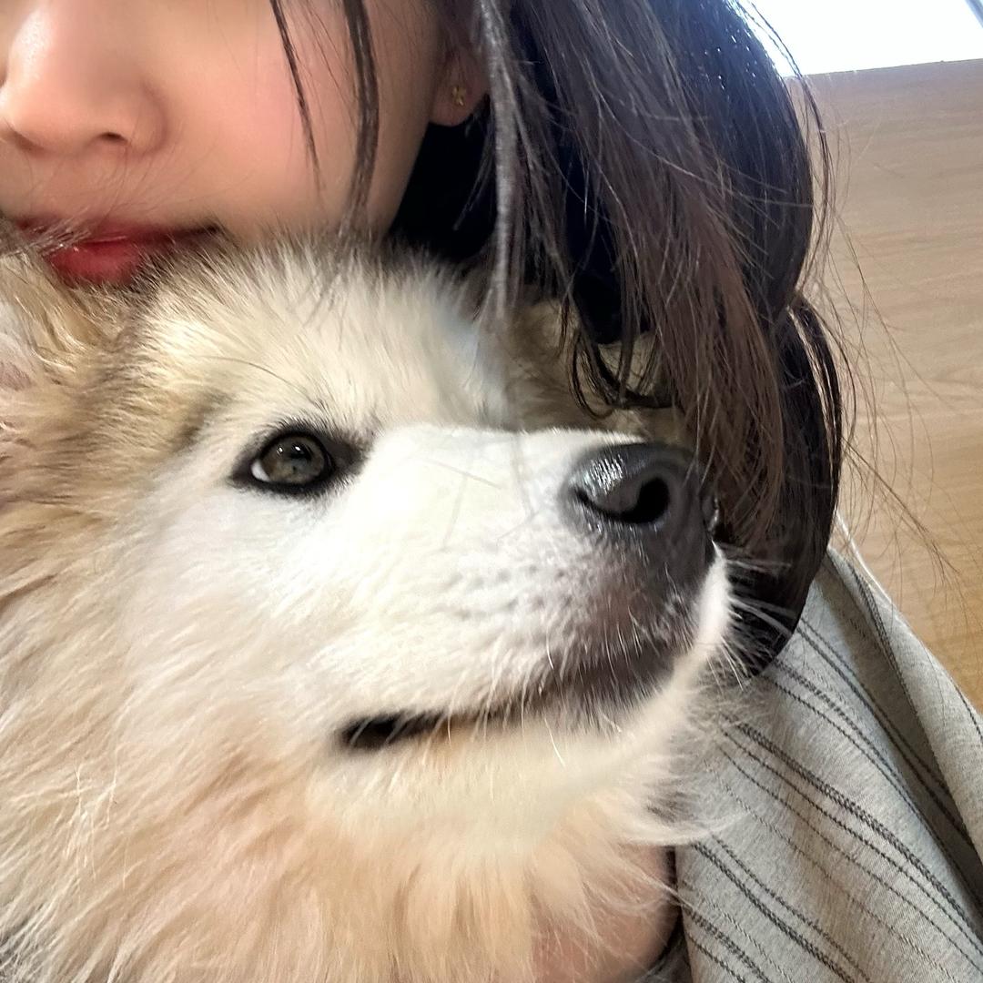 花筑·高陞馆（漳州古城店）｜栖星集