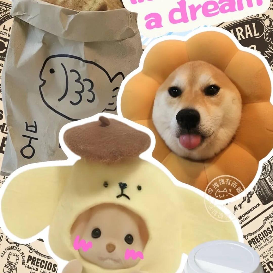 是阿堡yaaaa