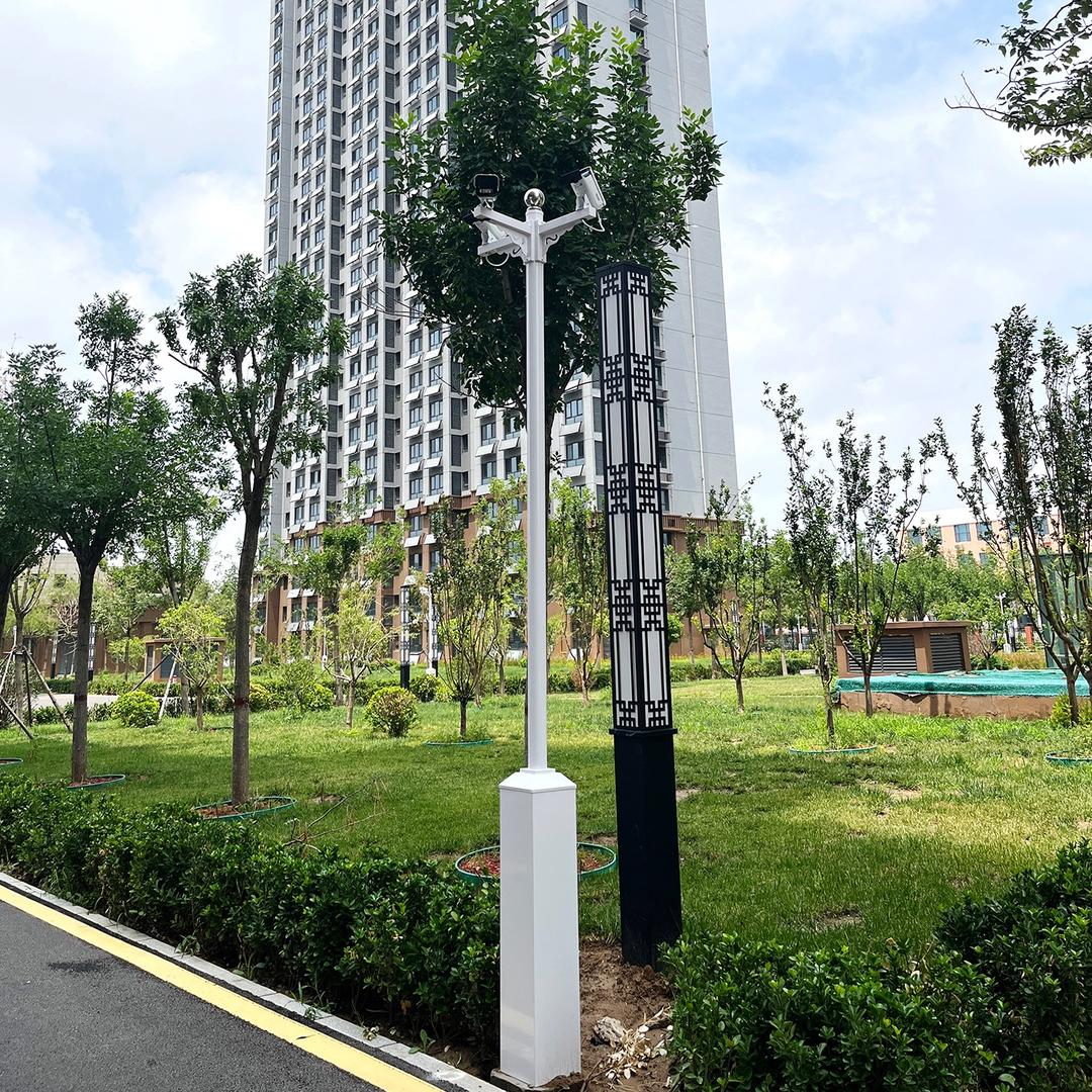 强越箱式组合监控杆/路灯监控杆（厂家）