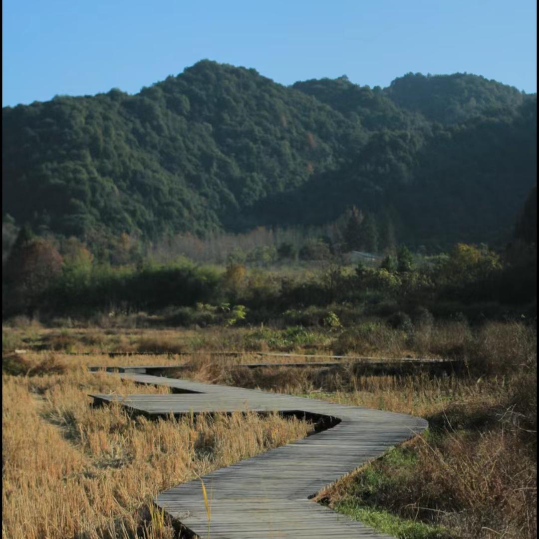 晚景