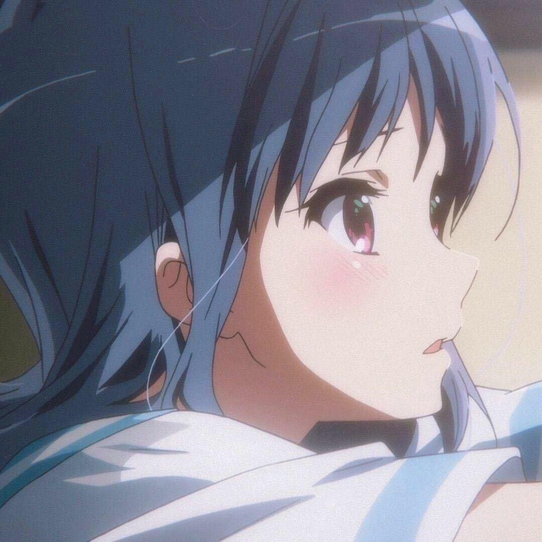 鲤.