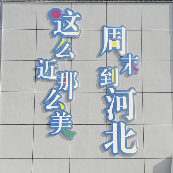 道友