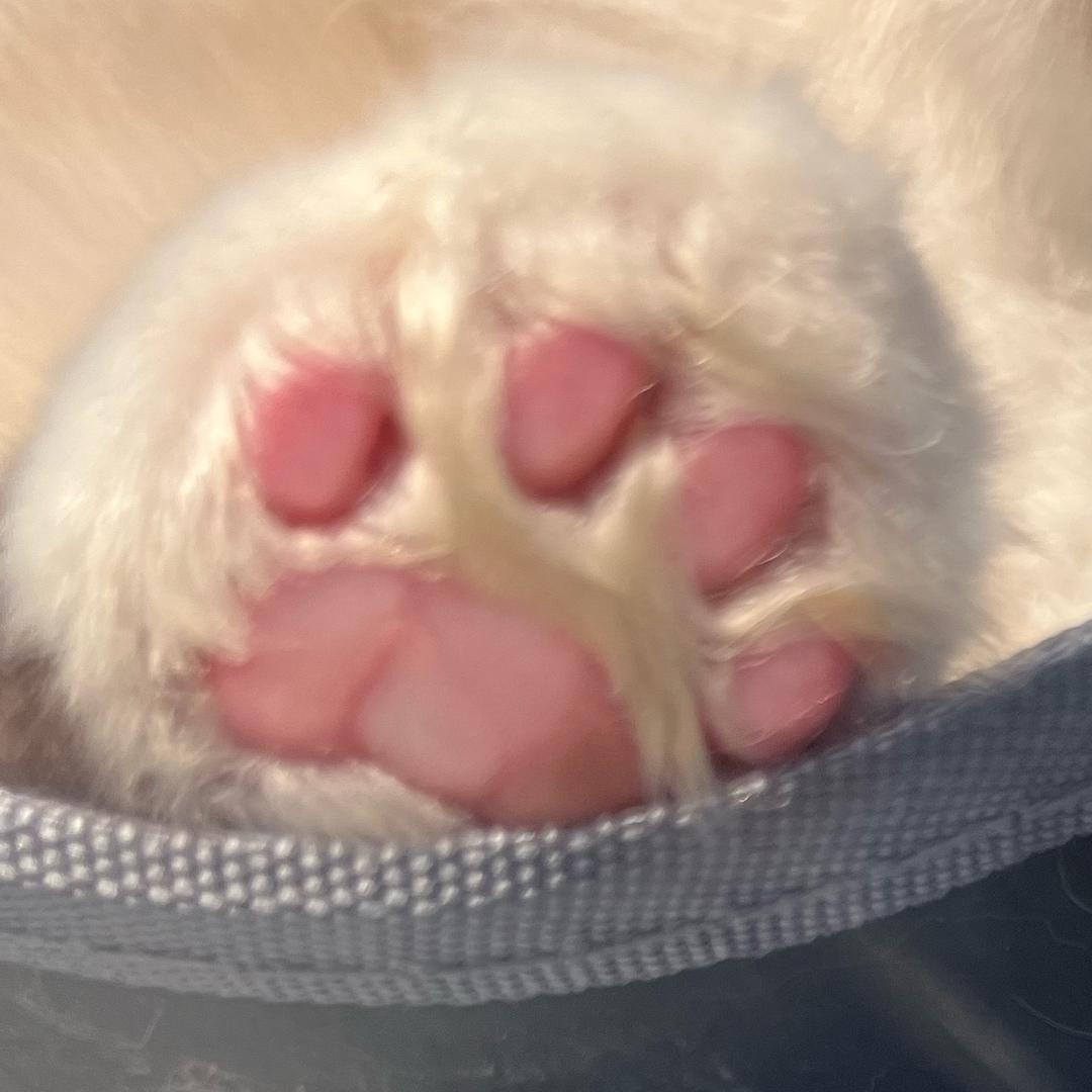 且行