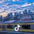 大熊