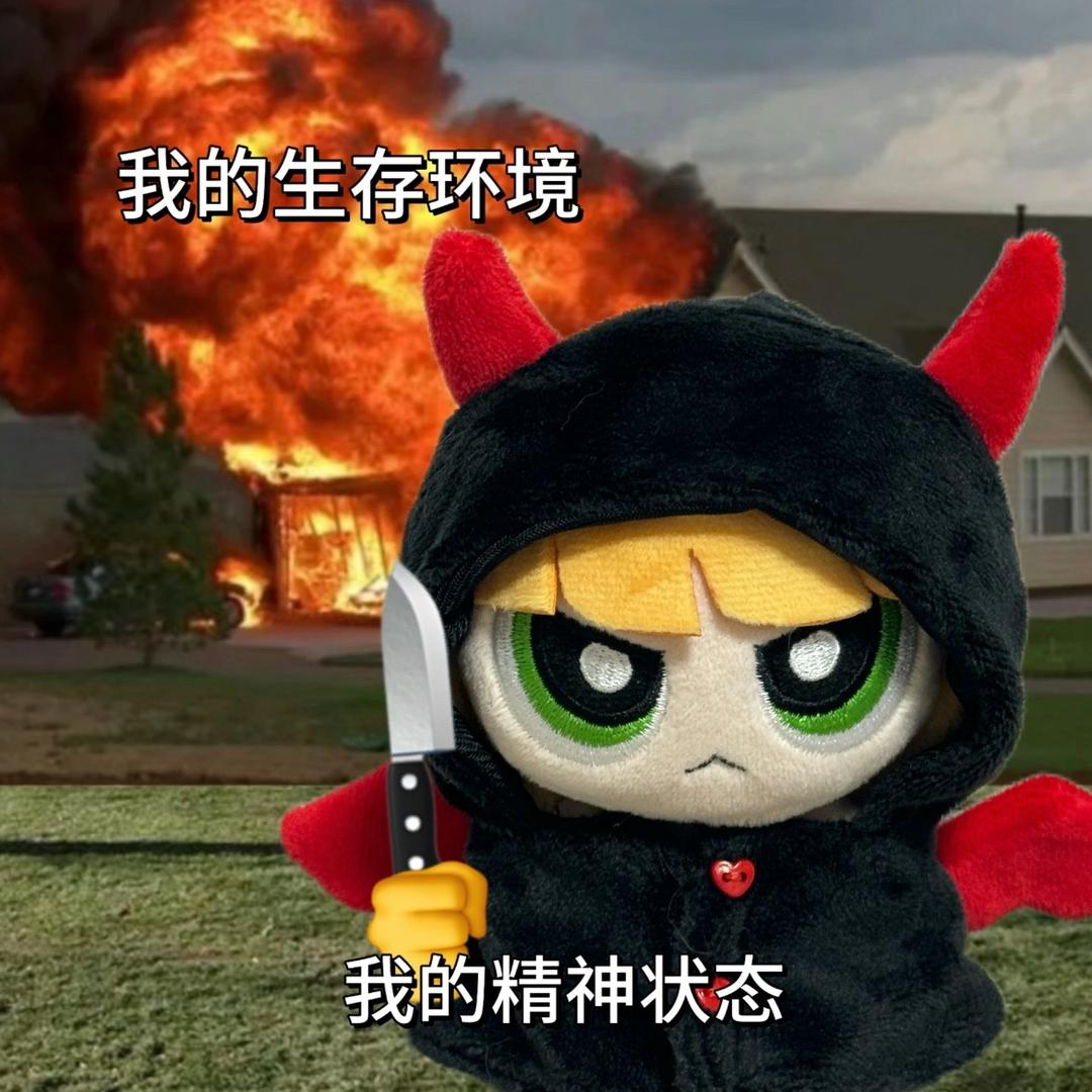 Hello龙仔