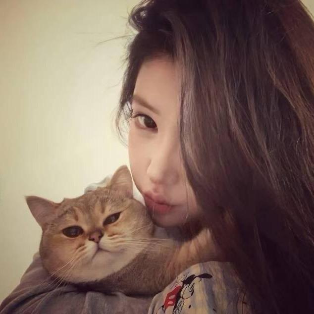 愿与愁