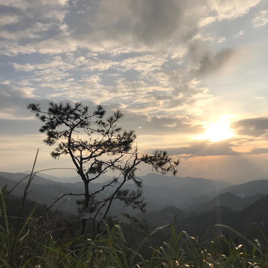 万青助理