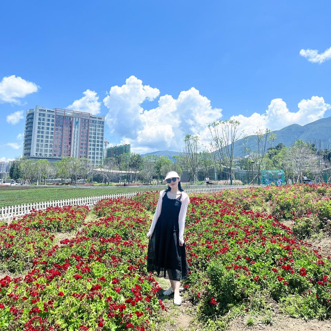 小时光