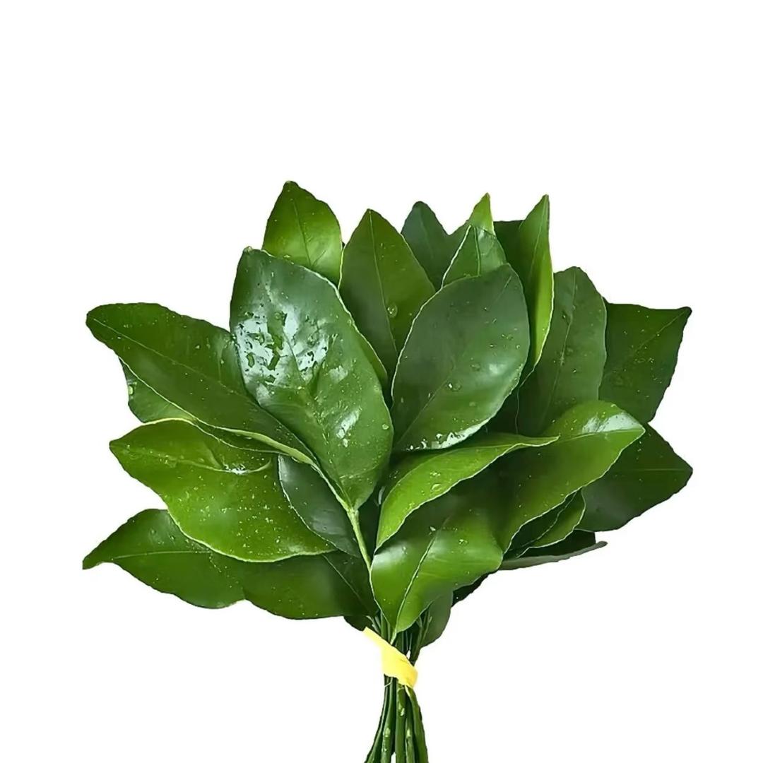 小董没烦恼