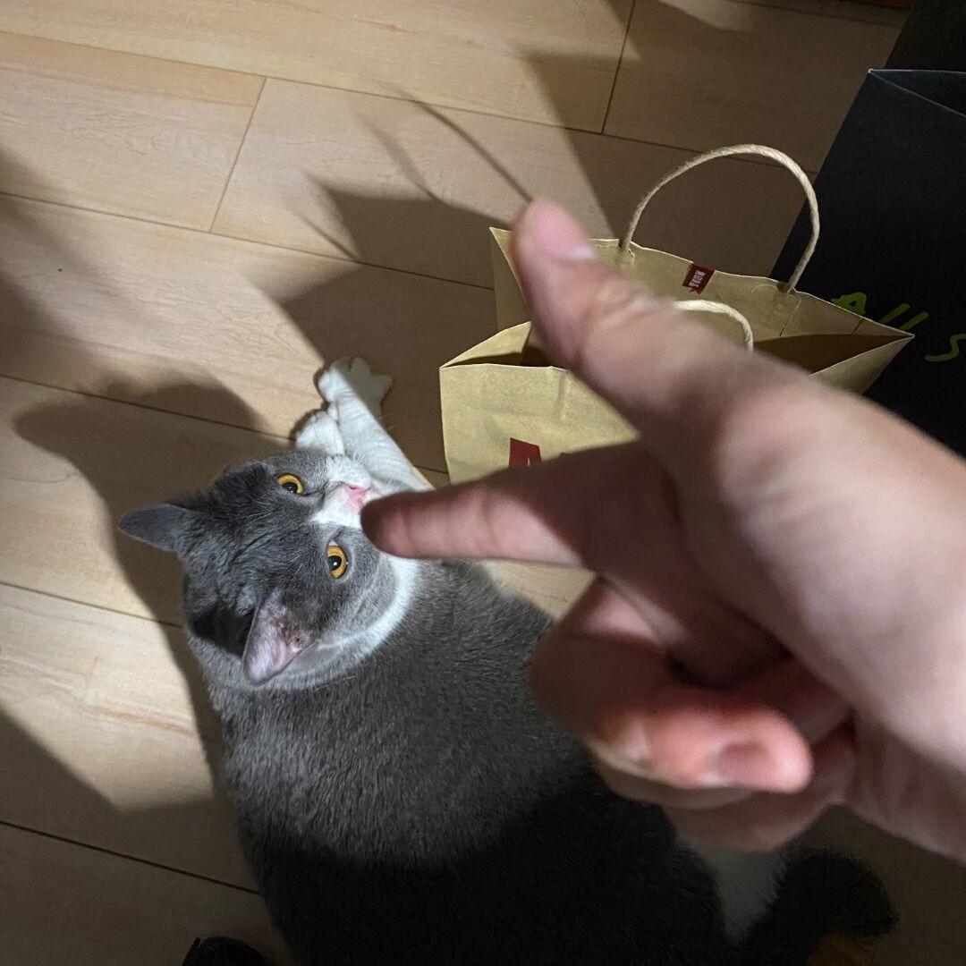 循迹刹车iii