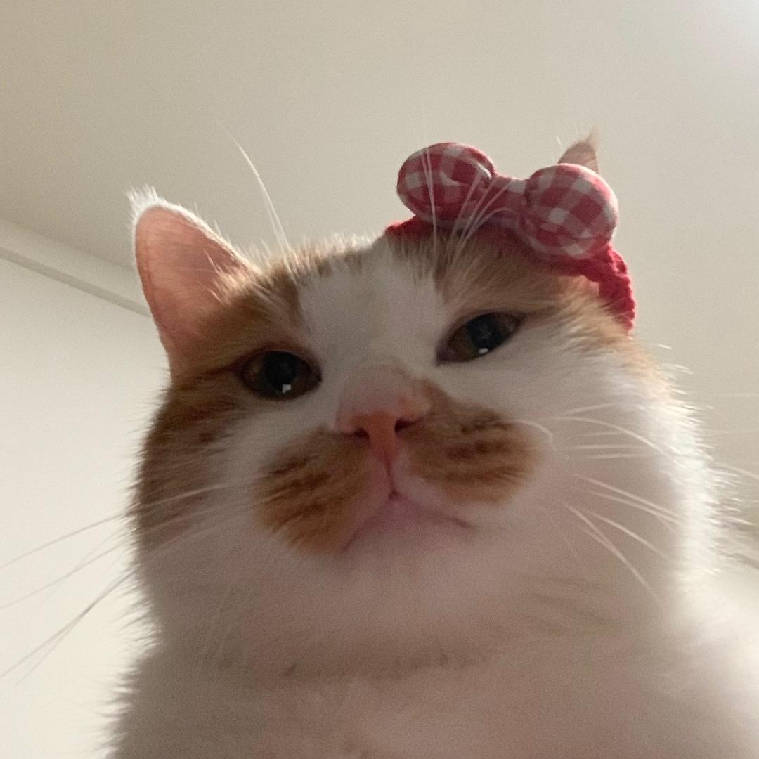 吃了没文化的醋